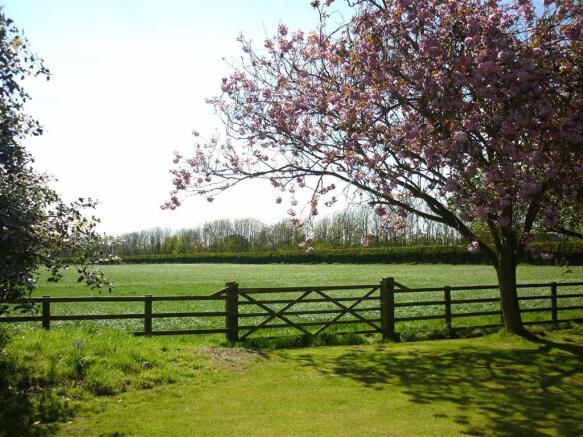 The Field