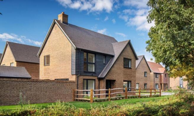 Dandara - Hawthorn Grove - The Buckley, Home 21