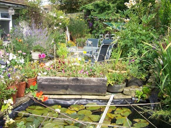 fish pond