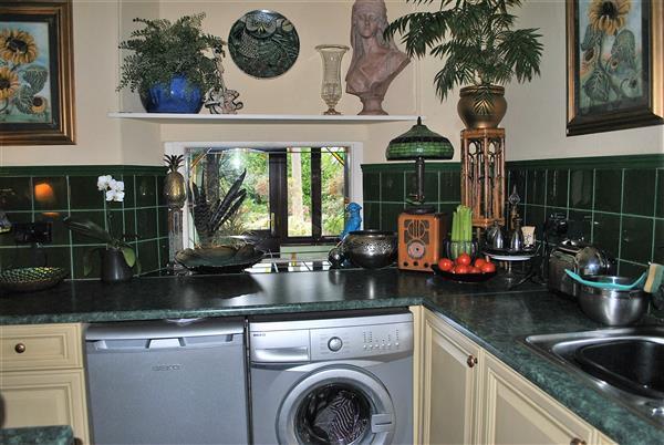 Photo 15