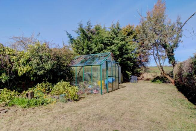 Garden (4)
