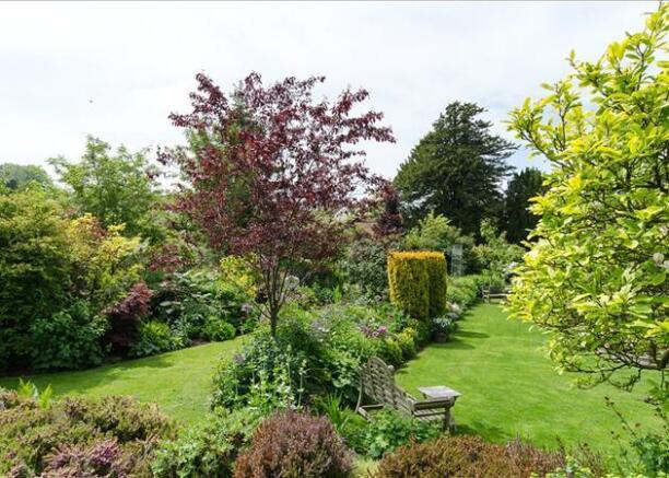 Garden 2