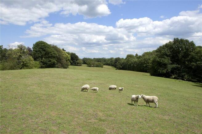 Fields