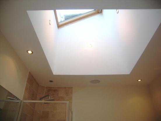 Bathroom Ceiling