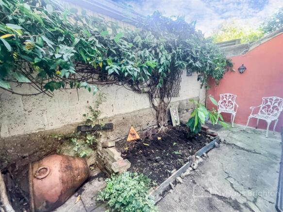 IMG_7452.jpg