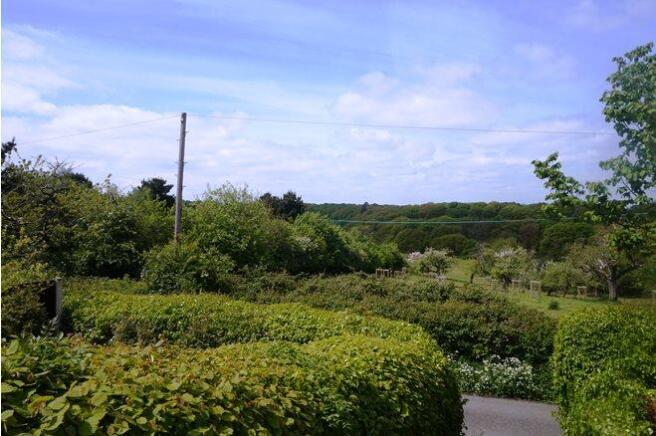Surrounding Area
