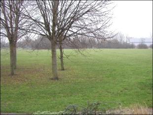 VIEW TO FRONT