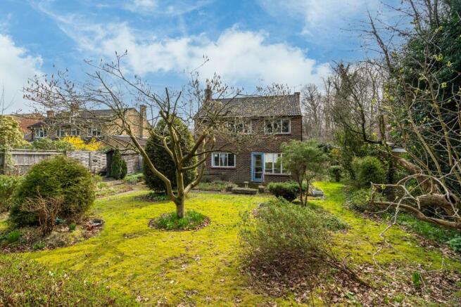 Back Garden