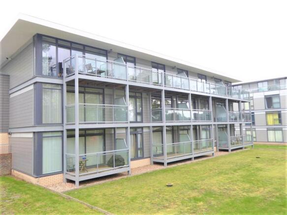 Rear Elevation