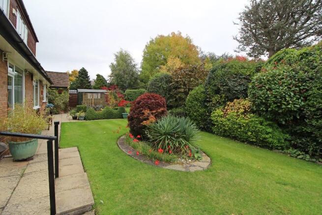 Beautiful Garden