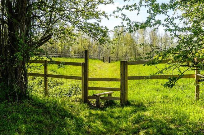 Pasture Paddocks