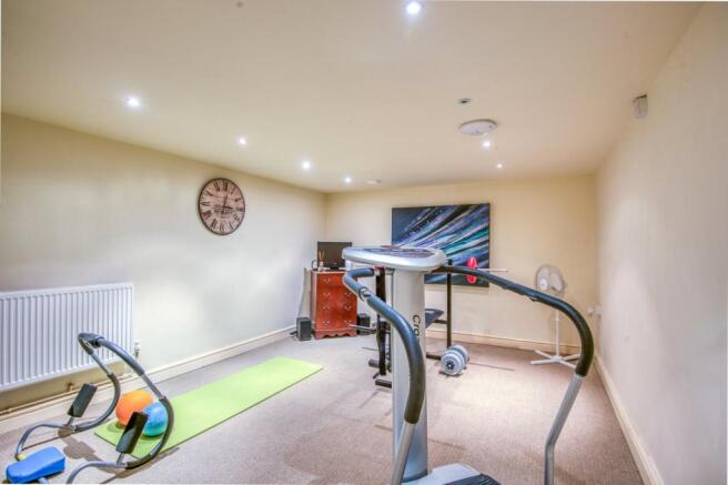 Gym/Cellar