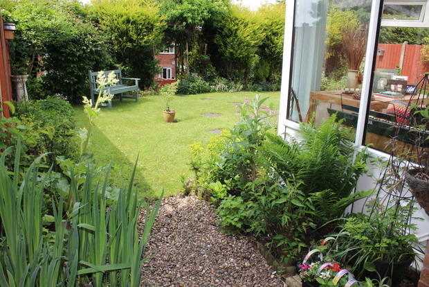 Photo 13