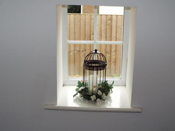 Window