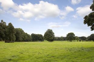 View Field