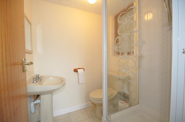 Trelil Oct 2010. Annex shower room.jpg