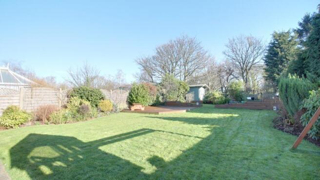 Garden at Back