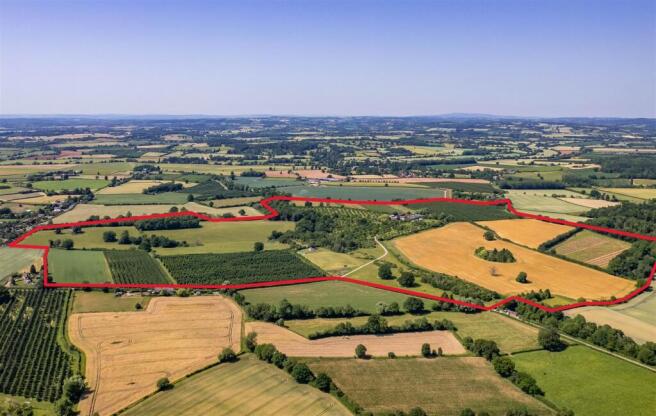 DJI_0410 outline.jpg