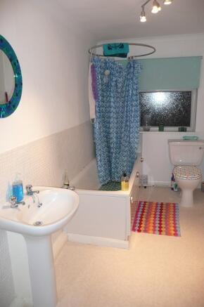 Picture 8