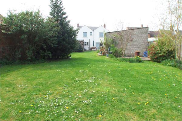 Garden 1