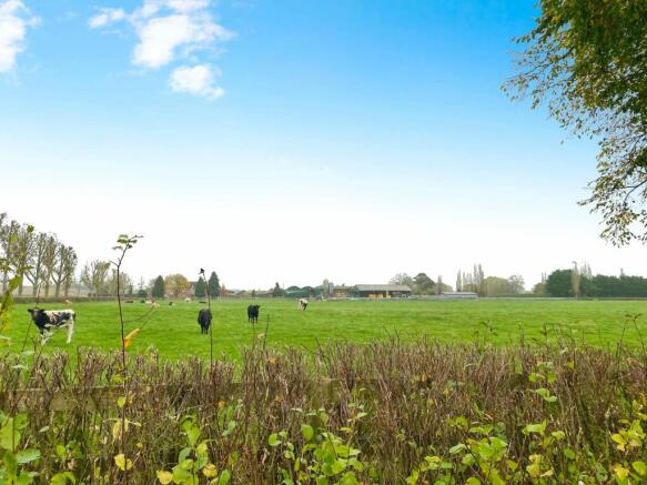 Field of view
