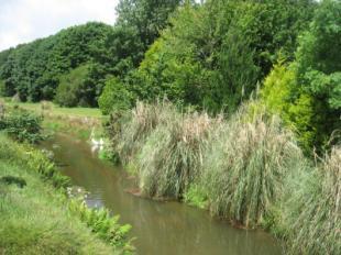 River 2