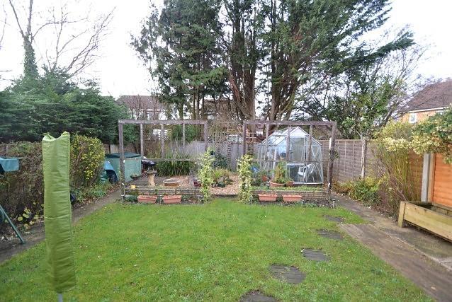 Garden 3