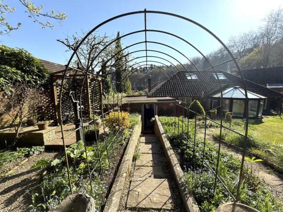 16 the pingle new raer.jpeg