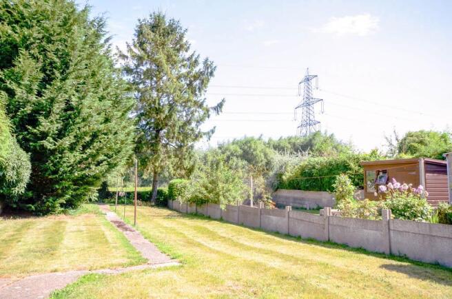 Garden at Back