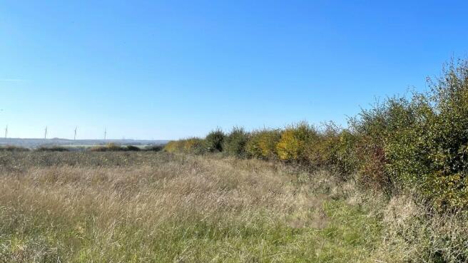 Flat farmland.