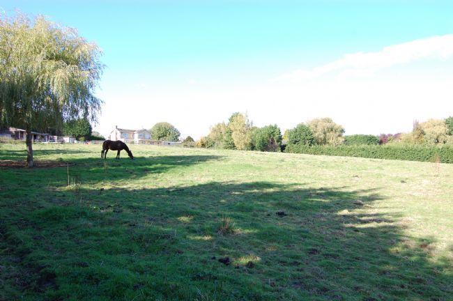 Paddock