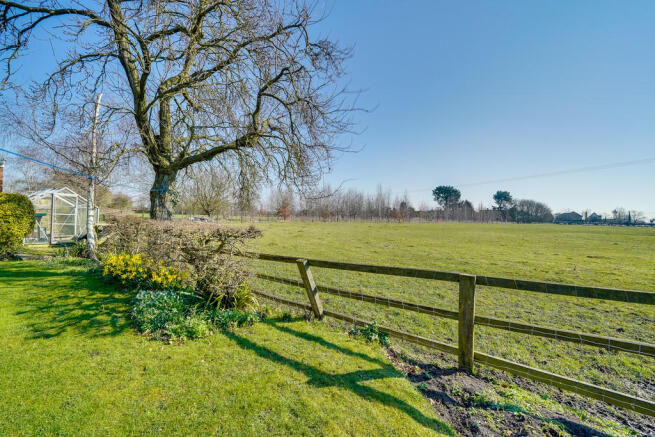 Field View