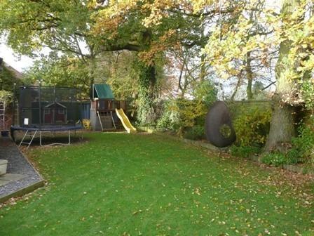 Play Area