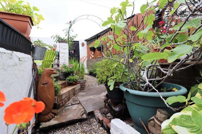 Rear Yard