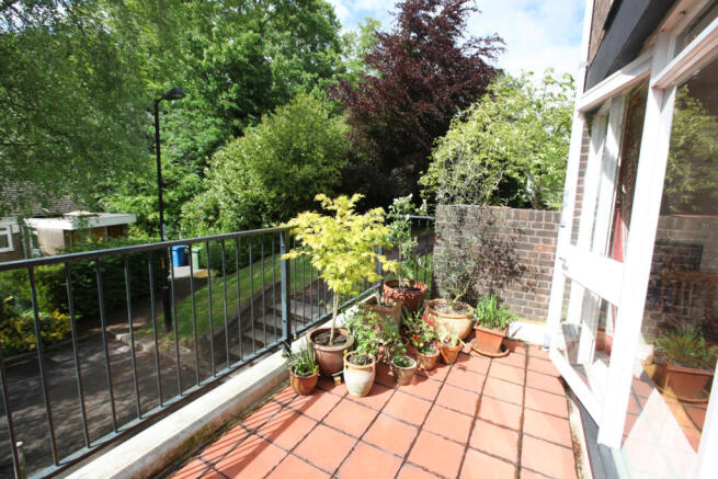 Roof Terrace