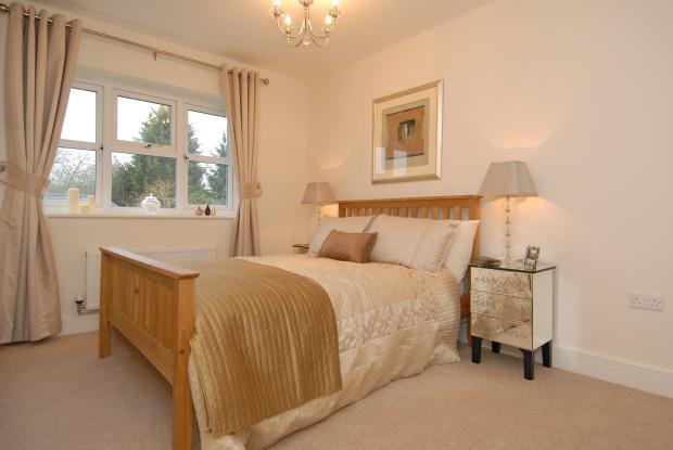 **Depicts Show Home