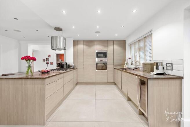 Kitchen / Dining / Living