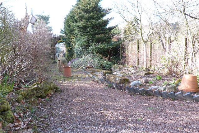 garden.