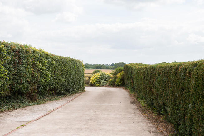 Driveway to cotta...