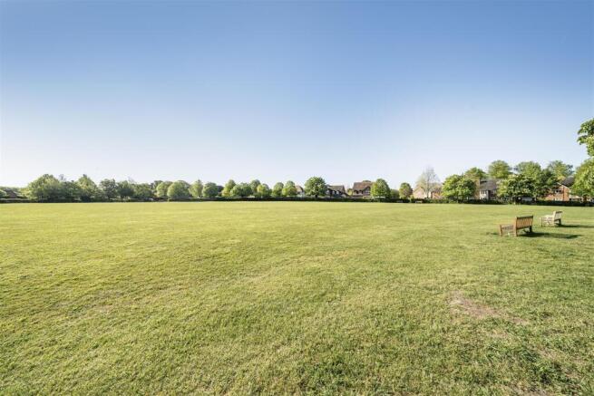 Surrounding Area.jpg