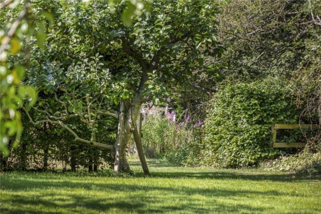 Grounds