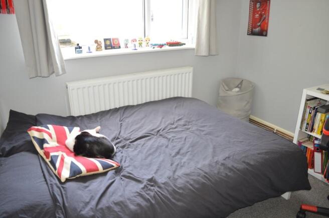 Photo 9