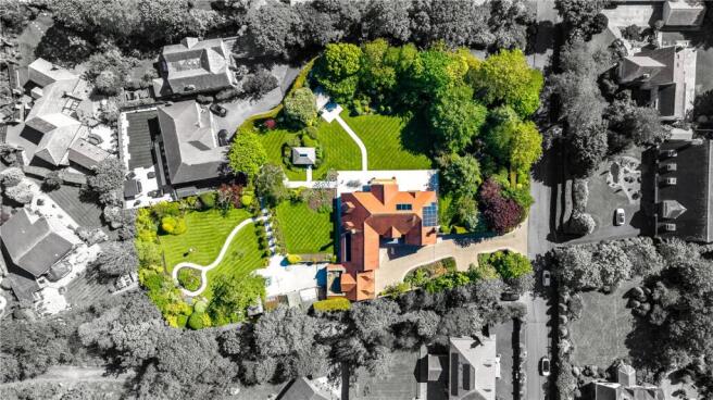 Aerial Shot