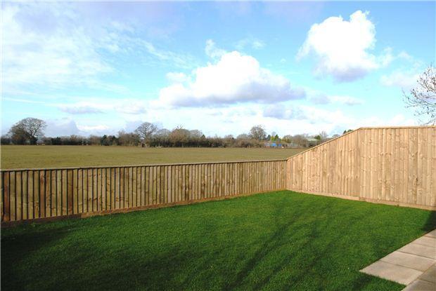 Rear garden / view