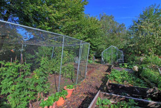 VEGETABLE GARDEN