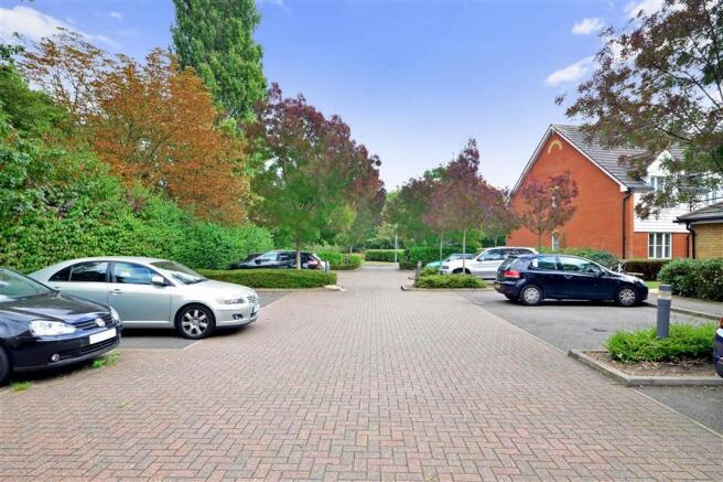 Driveway/Parking