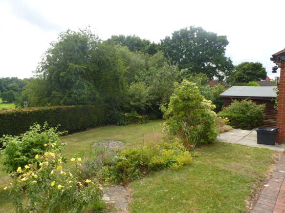 Photo 7