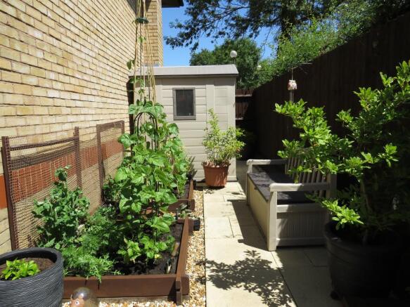 Photo 12