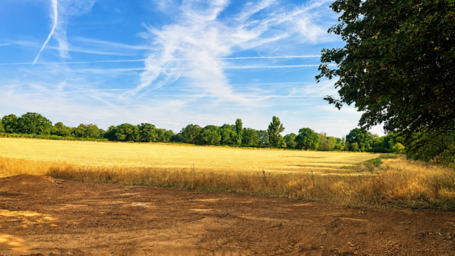 Plot 8, Lancaster Meadows, South Heath Lane, Fulbeck, Grantham, Lincolnshire, NG32 3HX photo 4