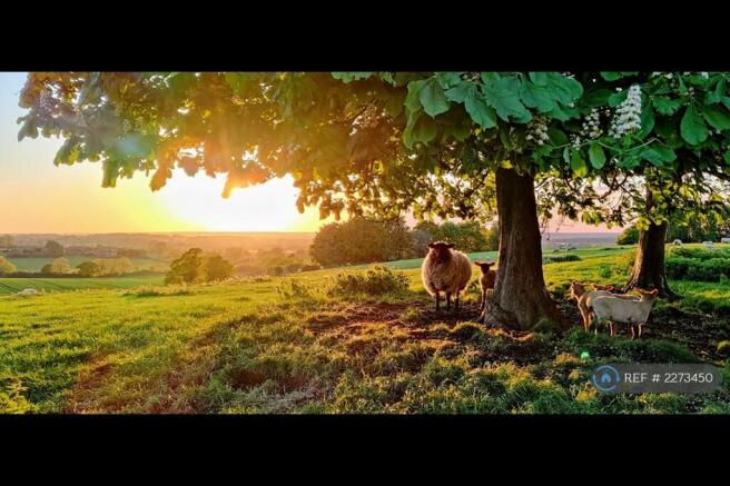 Countryside Walks!